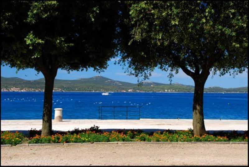 Guest Accommodation Neno Zadar Exterior photo
