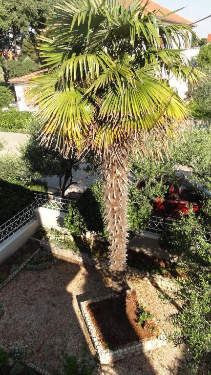 Guest Accommodation Neno Zadar Exterior photo